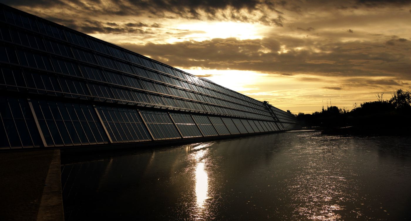 Solar panels at golden hour